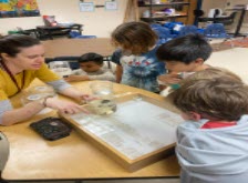 students observing insects
